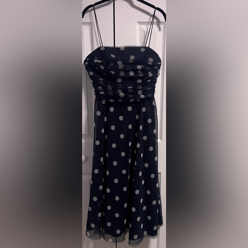 Eliza J Navy Polka Dot Dress (Holly's Personal Collection)